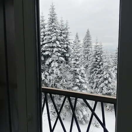 Zen Apartman Apartman *